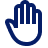 Volunteer/Service/Advocacy Experience